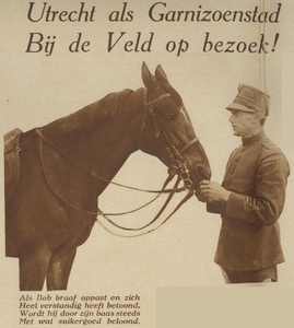 871491 Afbeelding van een militair met paard op het terrein van de Kazerne der Veldartillerie (Leidseweg 22) te ...